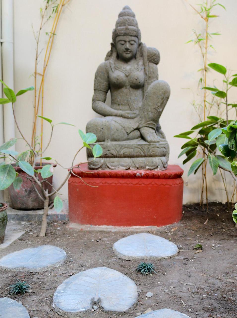 Mango Tree Courtyard Dehradun 호텔 외부 사진